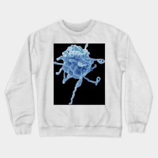 Activated platelet, SEM (C023/0879) Crewneck Sweatshirt